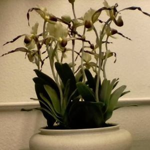 Meet your Posher, Tham